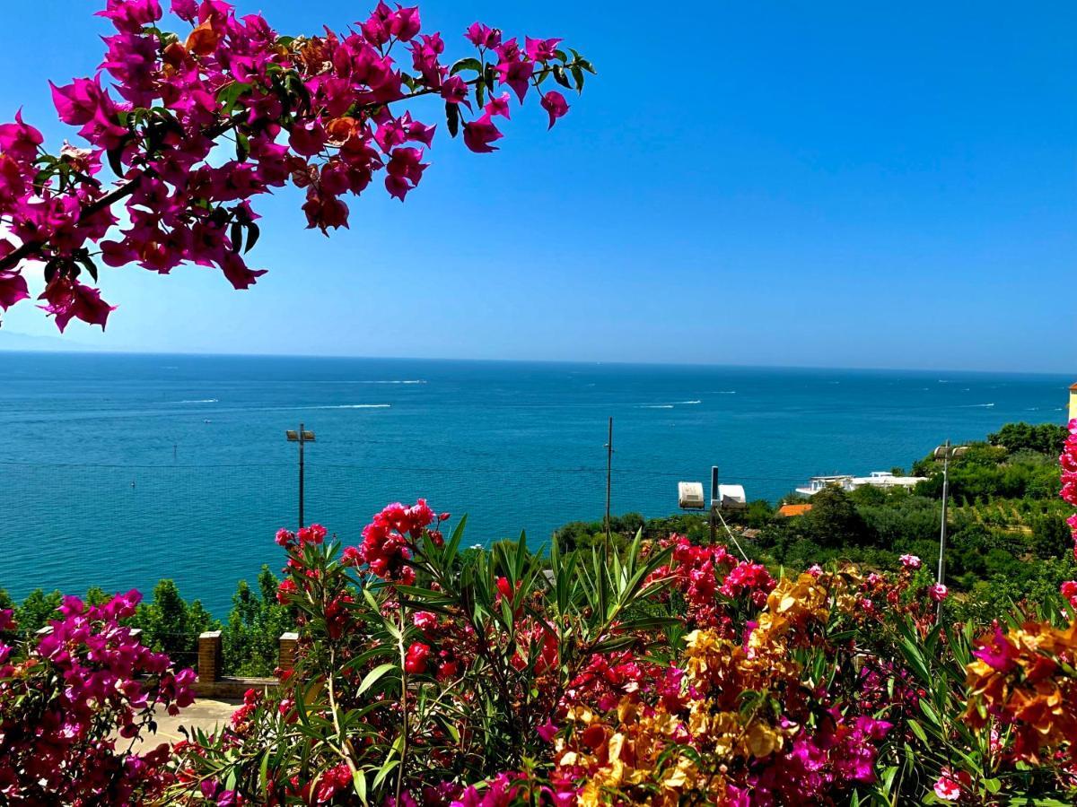 Apartamento La Finestra Sul Duomo, Amalfi Coast Vietri Exterior foto